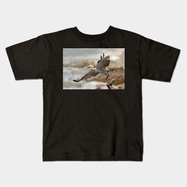 Osprey Takes Flight, Sunshine Coast Kids T-Shirt by AndrewGoodall